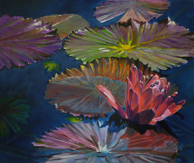 Water Lilies 7 Water Lilies 7