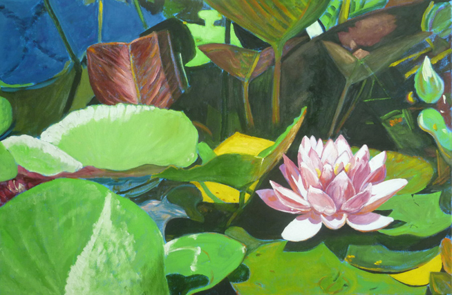 Water Lilies 12 Water Lilies 12