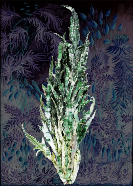 Amalgamated Fragmentation - Plastisphere–Plant 1