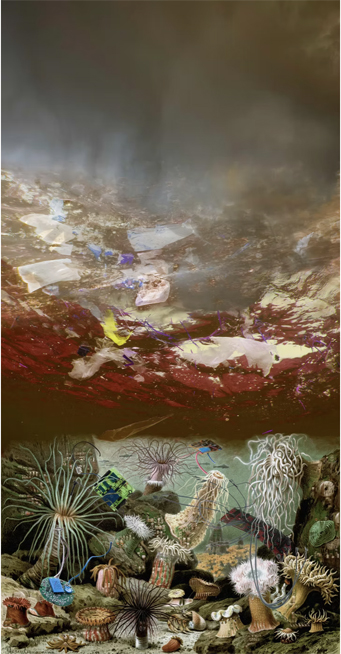 Amalgamated Fragmentation - Plastisphere–Water 3