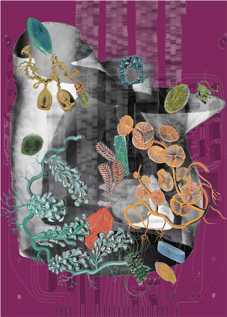 Amalgamated Fragmentation - Plastisphere–Body 1