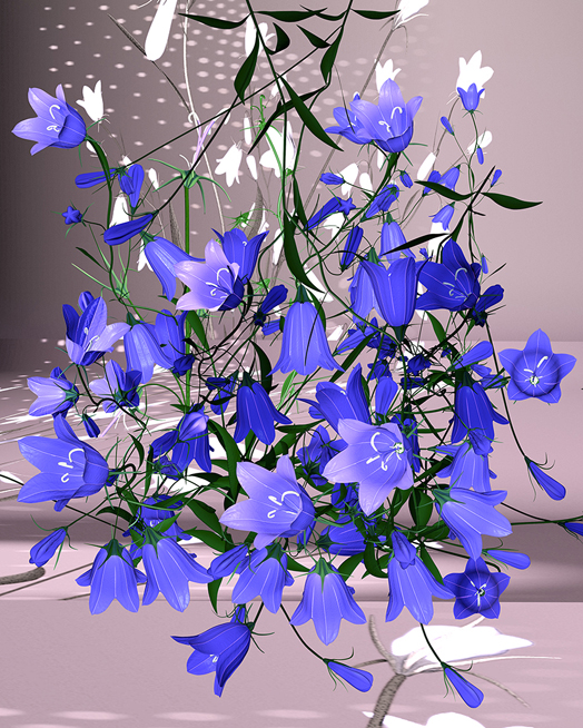 Glockenblume