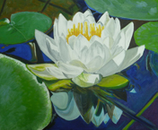 Water Lilies 13