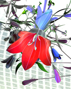 Glockenblume mutiert