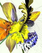 Krokus mutiert