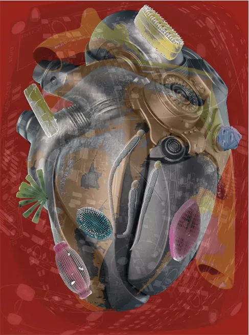 Amalgamated Fragmentation - Plastisphere–Body 2