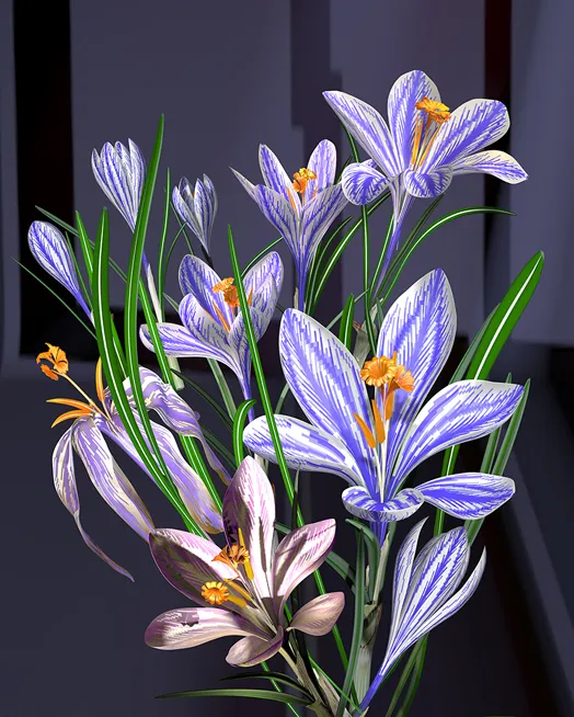 Krokus