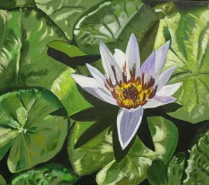 Water Lilies 4