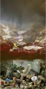Amalgamated Fragmentation - Plastisphere–Water 3