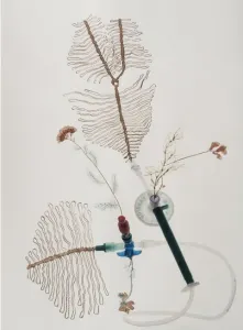 Petroflora 4
