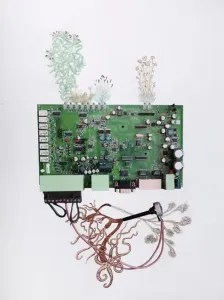 Petroflora 9
