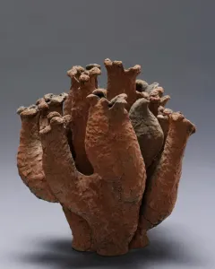 Wachstumsform