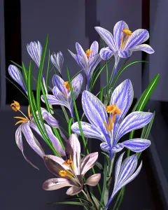 Krokus
